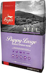 Orijen Puppy Large 11.4kg Ξηρά Τροφή χωρίς Σιτηρά για Κουτάβια Μεγαλόσωμων Φυλών με Γαλοπούλα και Κοτόπουλο