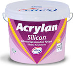 Vitex Acrylan Silicon Plastic Acrilyc Paint for Exterior Use White 10lt