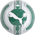 Puma Evopower 6 Panathinaikos Μπάλα Ποδοσφαίρου Πράσινη