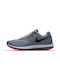 Zoom Winflo 4 Sport Shoes Running Gray