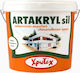CHrotech Artakryl Silicone Plastic Acrilyc Paint for Exterior Use White 3lt