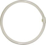 Eurolamp Fluorescent Lamp with Shape T9 22W