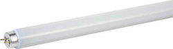 Eurolamp Leuchtstofflampe für Fassung G13 mit Form T8 58W
