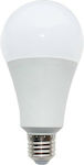 Diolamp LED Lampen für Fassung E27 und Form A80 Warmes Weiß 1500lm 1Stück