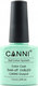 Canni Classic Ημιμόνιμο Βερνίκι Νυχιών 253 Mint...