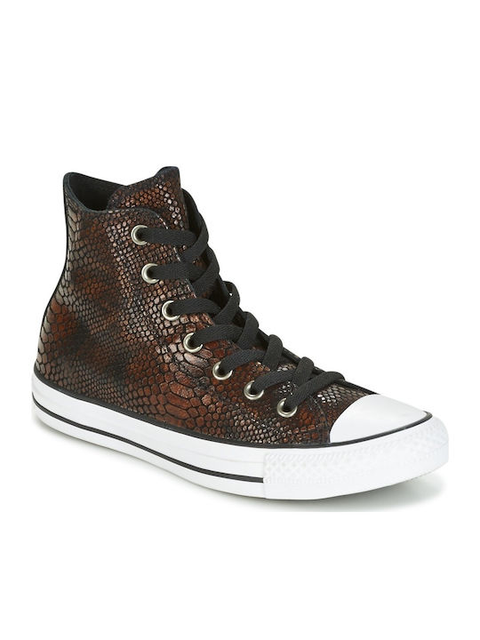 All Star Chuck Taylor Hi Snake Fashion Tip Botine Maro