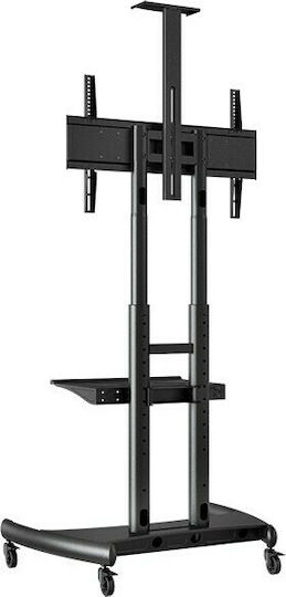 NB AV AVA1500-60-1P Βάση Τηλεόρασης Δαπέδου έως 65" και 45kg