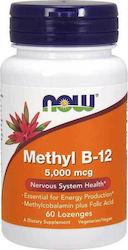 Now Foods Methyl B-12 Vitamin 5000mcg 60 sublingual pills