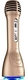 iDance Party Mic PM-6 Gold