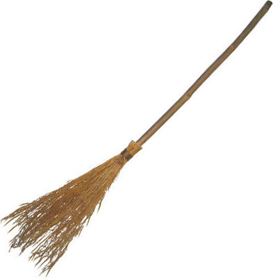 Carnival Broom