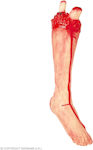 Decorative Halloween "Severed Foot with Blood" Carnival Accessory for Halloween 81608