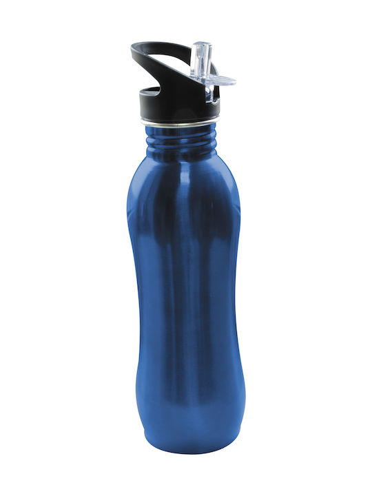 Panda Aluminum Water Bottle 650ml Blue