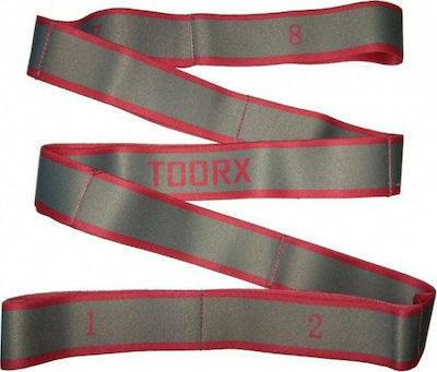 Toorx AHF-142 Loop Resistance Band Light Silver