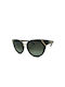 Salvatore Ferragamo SF 835S 006 Women's Sunglasses Plastic Frame