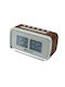 Soundmaster Ceas Digital de Masă cu Alarmă & Radio UR105BR