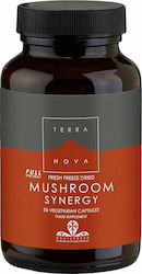 TerraNova Pilz-Synergie 50 Kapseln TerraNova Pilz-Synergie 50 Kapseln