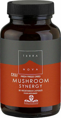 TerraNova Mushroom Synergy 50 κάψουλες