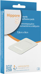 Hippocrates Topmedical Hippore Αυτοκόλλητες Γάζ...