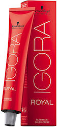Schwarzkopf Igora Royal Dusted Rouge Βαφή Μαλλι...