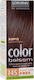 Lorvenn Color Balsam Set Temporary Dye no Ammonia 145 Castanos Palissandros 60ml