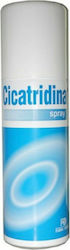 Cicatridina Spray 125ml