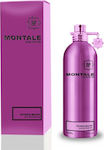 Montale Paris Roses Musk Eau de Parfum 100ml