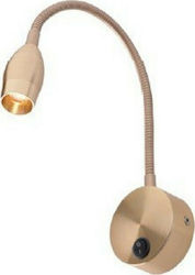 Aca Swan Осветително тяло За стена LED Златист 6x6x30см.