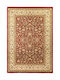 Royal Carpet 4262C Rug Rectangular Olympia