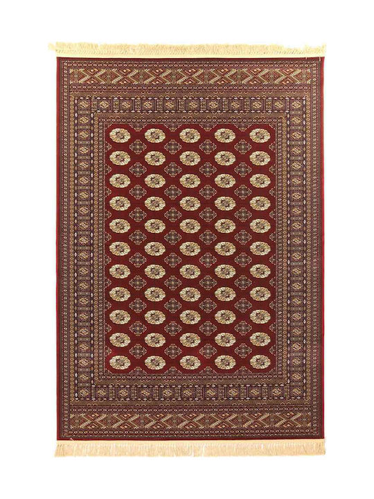 Royal Carpet 8874 Rug Rectangular cu franjuri Sherazad Red