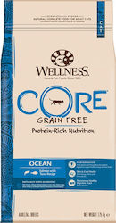 Wellness Core Ocean Wellness Core Ocean