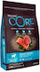 Wellness Core Grain Free Adult Ocean Salmon & Tuna 10kg Dry Food Grain-Free for Adult Dogs with Salmon and Tuna