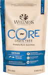 Wellness Core Ocean Ξηρά Τροφή για Ενήλικες Γάτες με Σολομό / Τόνο 0.3kg