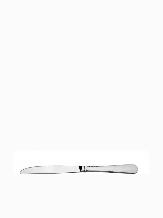 Food Knife of Stainless Steel 22cm 4154403