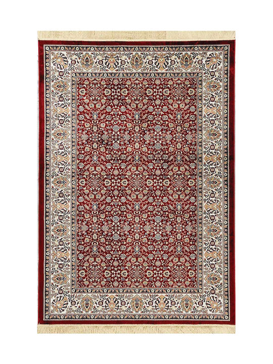 Newplan Sonia 240/301220 Rug Round Summer with ...