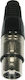 Accu-Cable Stecker XLR weiblich 1Stück (AC-C-X3F)