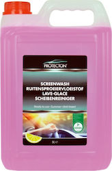 Protecton Flüssig Reinigung für Körper mit Duft Zitrone Anti-Insect 5lt 1890921