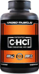 Kaged Muscle Creatine HCL C-HCl Caps 75 caps