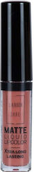 Lavish Care Matte Liquid Lipcolor Xtra Long Lan...