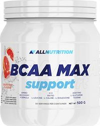 AllNutrition Bcaa Max Support 500gr