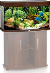 Juwel Vision 180 Aquarium 180lt with Lighting, Heater, Circulator and Filter 92x41x55cm Brown