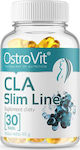 OstroVit CLA Slim Line Συμπλήρωμα Διατροφής 1000mg 30 κάψουλες