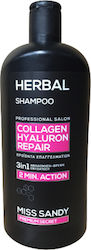 Miss Sandy Herbal Collagen Ηyaluron Repair Shampoos Reconstruction/Nourishment & Hydration for All Hair Types 750ml Miss Sandy Herbal Collagen Ηyaluron Repair Shampoos Reconstruction/Nourishment & Hydration for All Hair Types 750ml