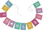 JUST MARRIED MULTICOLORED FLAG BUNTING