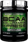 Scitec Nutrition BCAA + Glutamine Xpress 300gr Măr