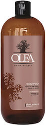 Dott. Solari Olea Baobab and linseed oil Shampoos against Hair Loss 1000ml Dott. Solari Olea Baobab and linseed oil Shampoos against Hair Loss 1000ml