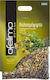 MyMedica Ofelimo Herbs Balsamwort 40gr