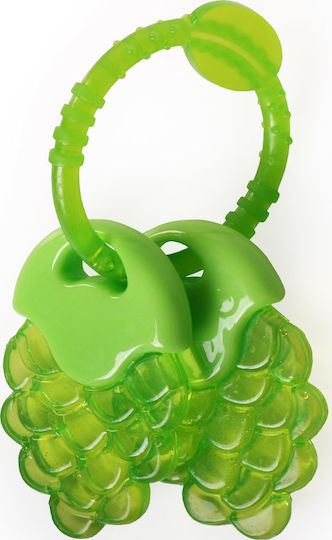 Moni Grape Teething Rattle with Water made of Silicone for 3 m+ Green