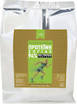 NoCarb Soy Protein Isolate 94% Ohne Gluten & Laktose 500gr