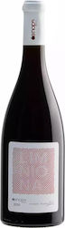 Oenops Wines Ερυθρό Ξηρό 750ml Oenops Wines Ερυθρό Ξηρό 750ml