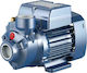 Pedrollo PKm 80 Electric Surface Water Pump with Automatic Suction 1hp Single-Phase